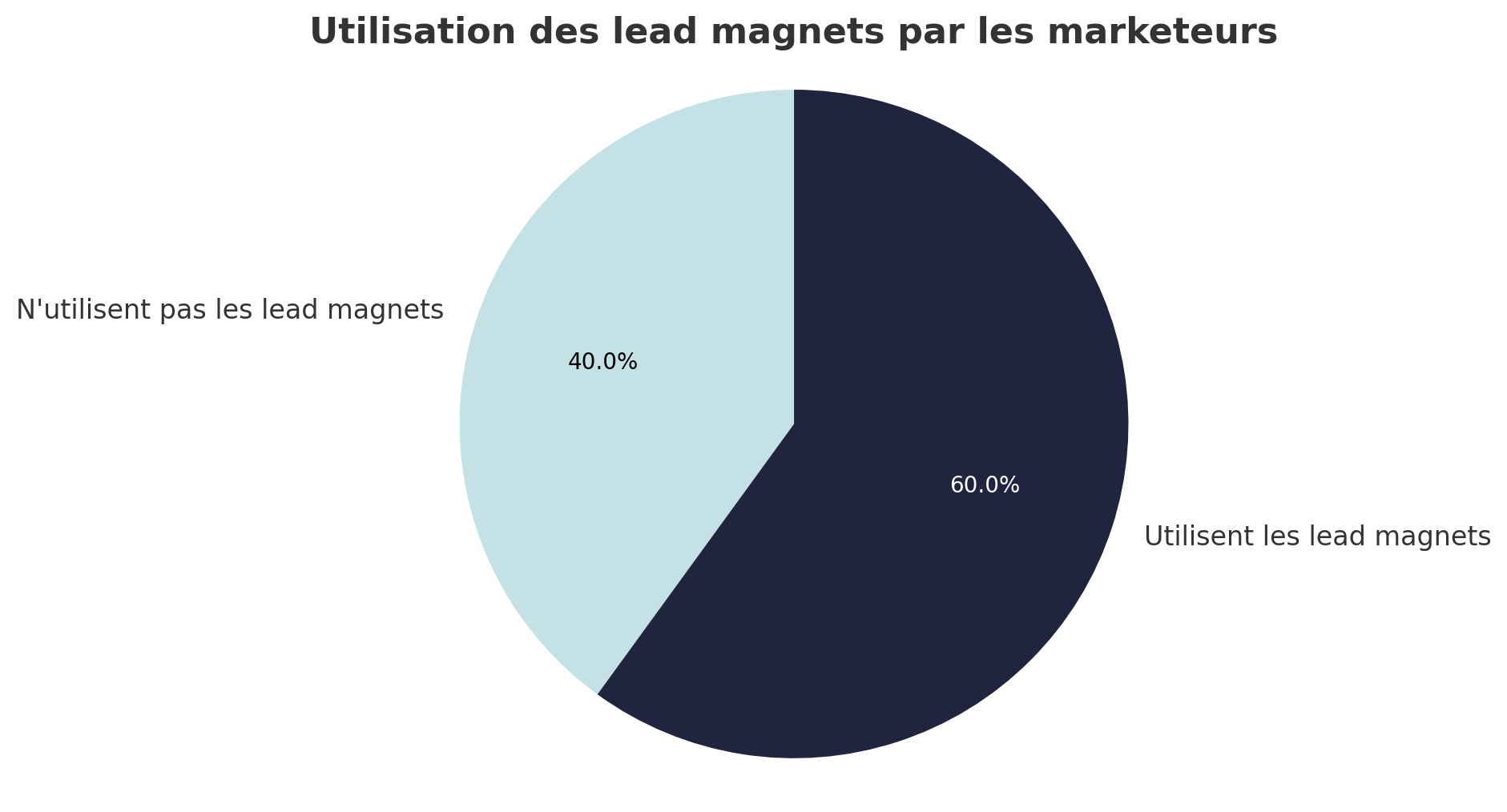 Utilisation des lead magnets par les marketeurs